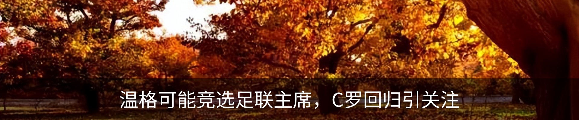 新闻动态